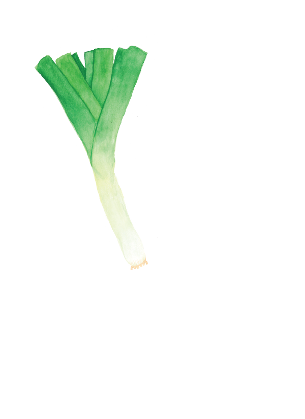 alhoporoquarela